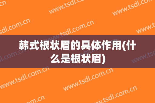 韩式根状眉的具体作用(什么是根状眉)