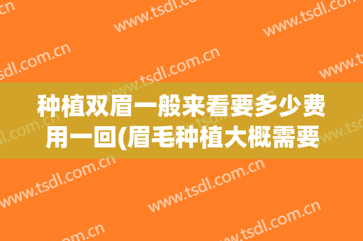 种植双眉一般来看要多少费用一回(眉毛种植大概需要多少钱)