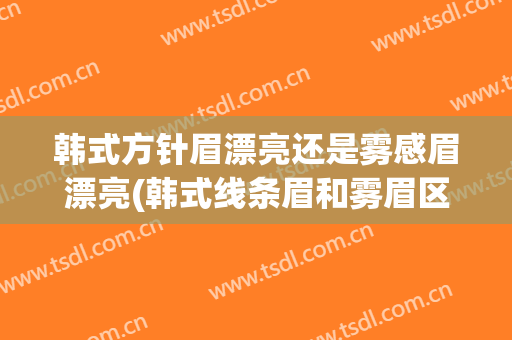 韩式方针眉漂亮还是雾感眉漂亮(韩式线条眉和雾眉区别)