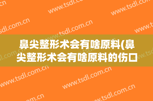 鼻尖整形术会有啥原料(鼻尖整形术会有啥原料的伤口)
