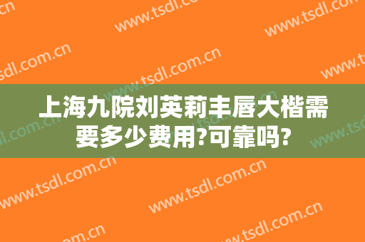 上海九院刘英莉丰唇大楷需要多少费用?可靠吗?