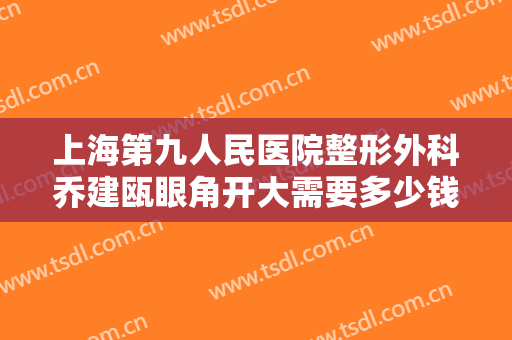 上海第九人民医院整形外科乔建瓯眼角开大需要多少钱?好不好?