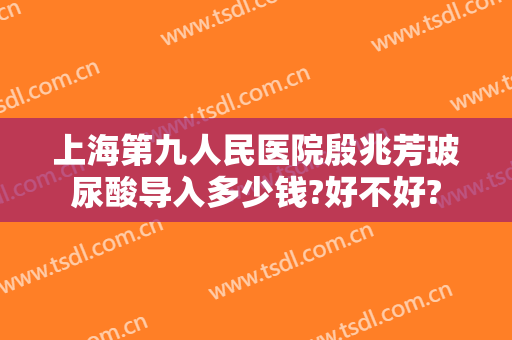 上海第九人民医院殷兆芳玻尿酸导入多少钱?好不好?