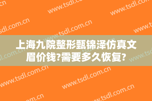 上海九院整形甄锦泽仿真文眉价钱?需要多久恢复?