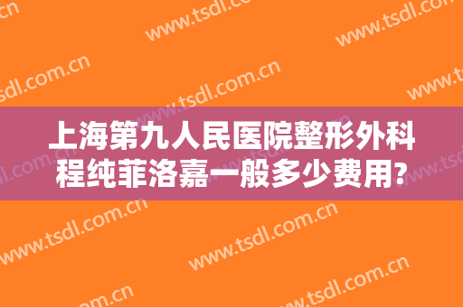 上海第九人民医院整形外科程纯菲洛嘉一般多少费用?好不好?