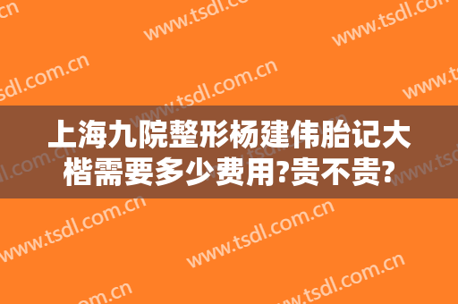 上海九院整形杨建伟胎记大楷需要多少费用?贵不贵?