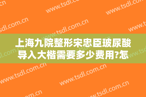 上海九院整形宋忠臣玻尿酸导入大楷需要多少费用?怎么样?