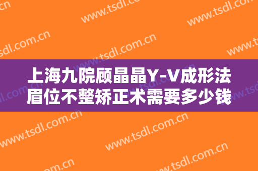 上海九院顾晶晶Y-V成形法眉位不整矫正术需要多少钱?贵不贵?