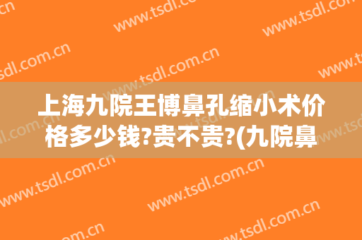 上海九院王博鼻孔缩小术价格多少钱?贵不贵?(九院鼻头缩小手术费用)