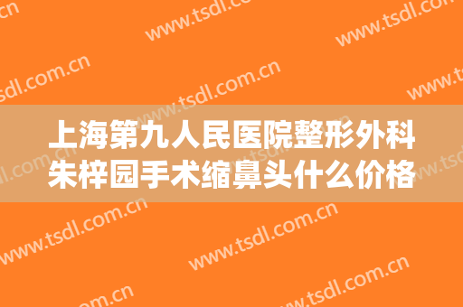 上海第九人民医院整形外科朱梓园手术缩鼻头什么价格?靠谱吗?(上海九院整形鼻子案例)