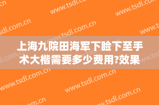 上海九院田海军下睑下至手术大楷需要多少费用?效果怎么样?(上海九院上睑下垂手术多少钱)