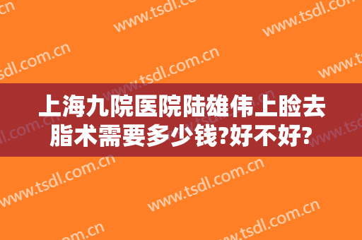 上海九院医院陆雄伟上睑去脂术需要多少钱?好不好?