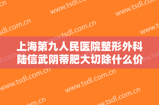 上海第九人民医院整形外科陆信武阴蒂肥大切除什么价格?可靠吗?