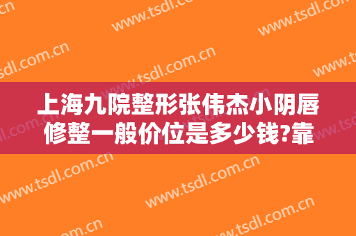 上海九院整形张伟杰小阴唇修整一般价位是多少钱?靠谱吗?