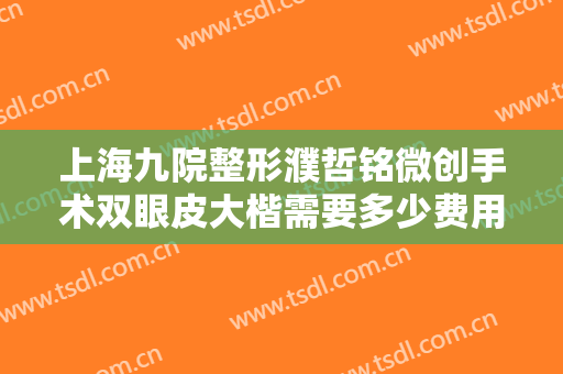 上海九院整形濮哲铭微创手术双眼皮大楷需要多少费用?效果怎么样?
