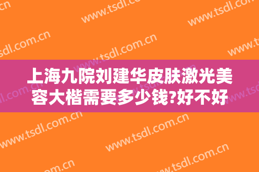 上海九院刘建华皮肤激光美容大楷需要多少钱?好不好?