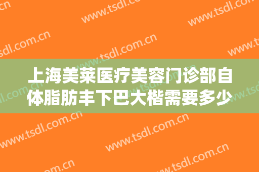 上海美莱医疗美容门诊部自体脂肪丰下巴大楷需要多少费用?怎么样?(自体脂肪丰下巴医院比较好)