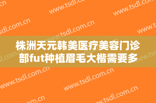 株洲天元韩美医疗美容门诊部fut种植眉毛大楷需要多少费用?可靠吗?
