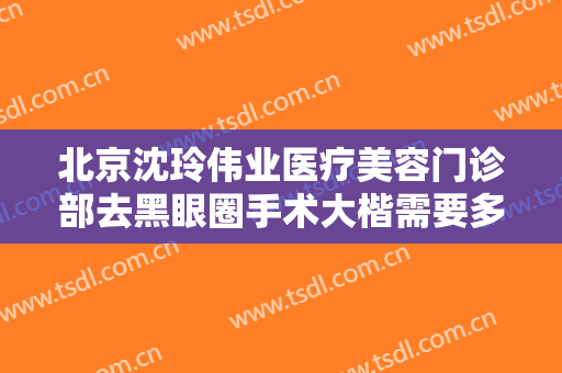 北京沈玲伟业医疗美容门诊部去黑眼圈手术大楷需要多少钱?好不好?