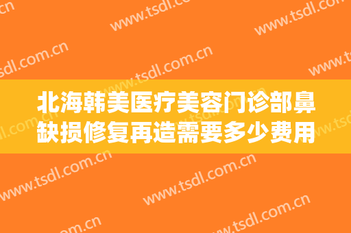 北海韩美医疗美容门诊部鼻缺损修复再造需要多少费用?贵不贵?(北海韩美整形美容医院怎么样)