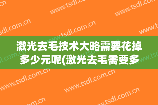 激光去毛技术大略需要花掉多少元呢(激光去毛需要多久)
