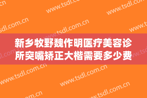 新乡牧野魏作明医疗美容诊所突嘴矫正大楷需要多少费用?好不好?(新乡市魏作明整形医院)