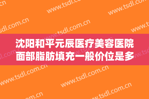 沈阳和平元辰医疗美容医院面部脂肪填充一般价位是多少钱?好不好?(沈阳全脸脂肪填充哪家专业)