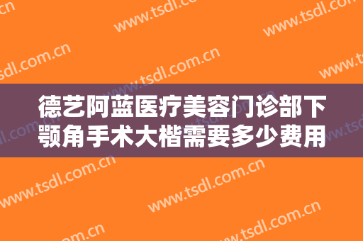 德艺阿蓝医疗美容门诊部下颚角手术大楷需要多少费用?靠谱吗?