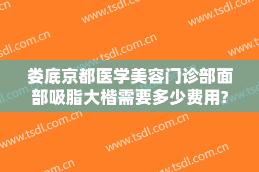 娄底京都医学美容门诊部面部吸脂大楷需要多少费用?可靠吗?