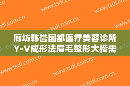 廊坊韩誉国都医疗美容诊所Y-V成形法眉毛整形大楷需要多少钱?贵不贵?