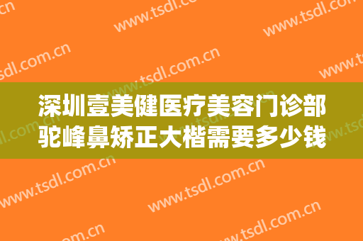 深圳壹美健医疗美容门诊部驼峰鼻矫正大楷需要多少钱?好不好?(深圳壹美医疗美容医院)