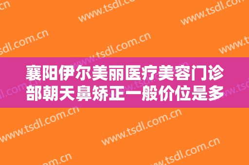 襄阳伊尔美丽医疗美容门诊部朝天鼻矫正一般价位是多少费用?靠谱吗?