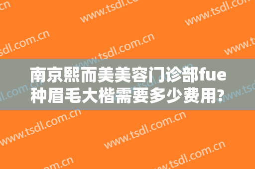 南京熙而美美容门诊部fue种眉毛大楷需要多少费用?多长时间恢复?