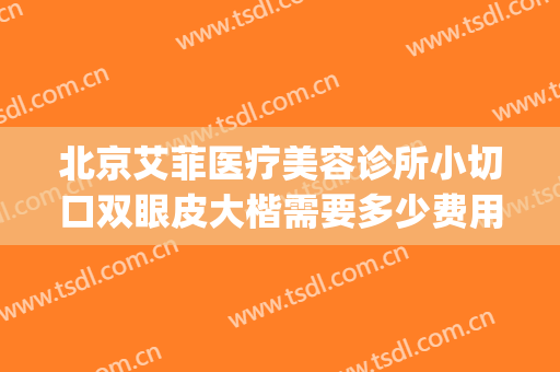 北京艾菲医疗美容诊所小切口双眼皮大楷需要多少费用?贵不贵?(杭州艾菲整形医院怎么样)