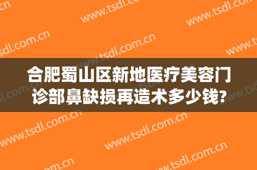 合肥蜀山区新地医疗美容门诊部鼻缺损再造术多少钱?靠谱吗?(合肥蜀山区整容医院)