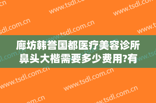 廊坊韩誉国都医疗美容诊所鼻头大楷需要多少费用?有哪些优势?(excel表格格式错误如何还原)