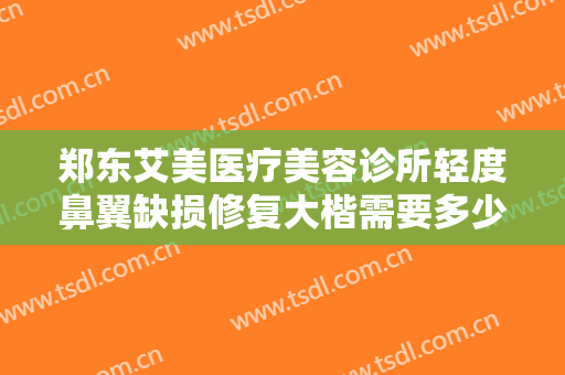 郑东艾美医疗美容诊所轻度鼻翼缺损修复大楷需要多少费用?好不好?