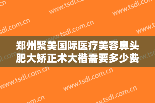 郑州聚美国际医疗美容鼻头肥大矫正术大楷需要多少费用?效果怎么样?