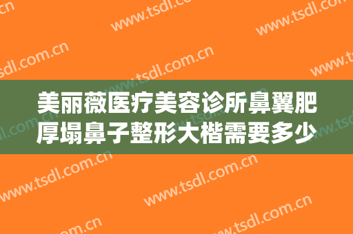 美丽薇医疗美容诊所鼻翼肥厚塌鼻子整形大楷需要多少费用?好不好?(美容院整鼻子多少钱)