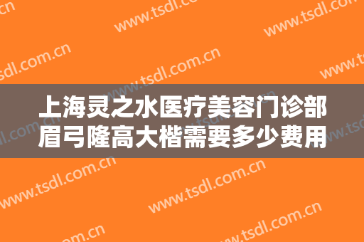 上海灵之水医疗美容门诊部眉弓隆高大楷需要多少费用?可靠吗?