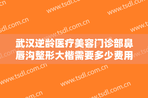 武汉逆龄医疗美容门诊部鼻唇沟整形大楷需要多少费用?有哪些优势?