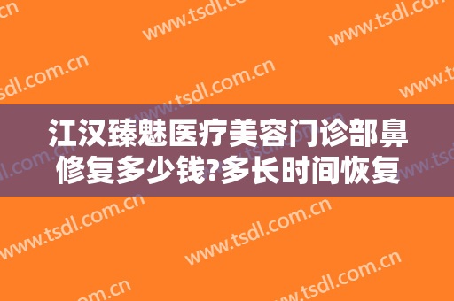 江汉臻魅医疗美容门诊部鼻修复多少钱?多长时间恢复?