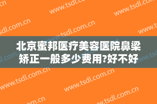 北京蜜邦医疗美容医院鼻梁矫正一般多少费用?好不好?