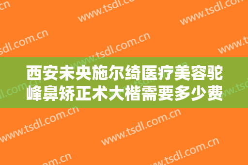 西安未央施尔绮医疗美容驼峰鼻矫正术大楷需要多少费用?好不好?