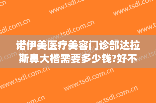 诺伊美医疗美容门诊部达拉斯鼻大楷需要多少钱?好不好?(诺伊美整形医院)