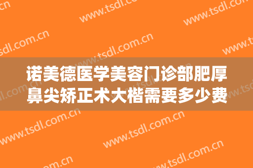 诺美德医学美容门诊部肥厚鼻尖矫正术大楷需要多少费用?好不好?(诺美德整形美容医院)