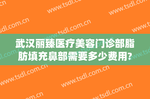 武汉丽臻医疗美容门诊部脂肪填充鼻部需要多少费用?效果怎么样?(面部脂肪填充哪家医院好)