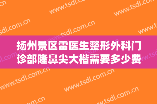 扬州景区雷医生整形外科门诊部隆鼻尖大楷需要多少费用?好不好?(扬州雷医生整形收费高)
