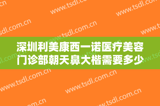 深圳利美康西一诺医疗美容门诊部朝天鼻大楷需要多少钱?多长时间恢复?