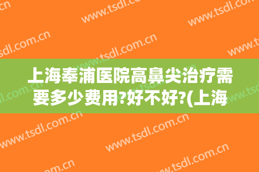 上海奉浦医院高鼻尖治疗需要多少费用?好不好?(上海奉浦医院高鼻尖治疗需要多少费用?好不好挂号)